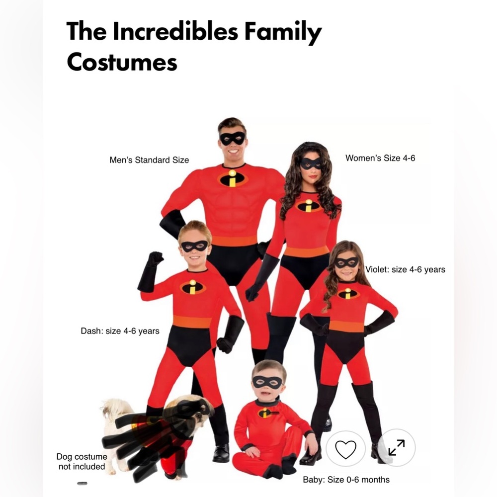 Incredibles family Costumes - includes all 5 costumes pictured